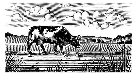 A cow on a Rustic meadow hand drawn village landscape illustration with fields Stock Illustration