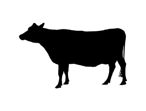 Cow silhouette vector art Stock Illustration