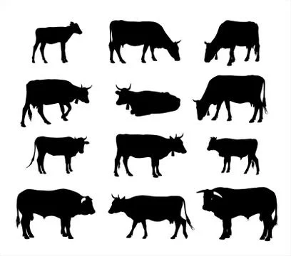 Cow silhouette vector Stock Illustration