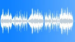 Cow Sing Stock Music