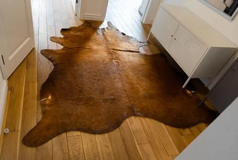 A cow skin carpet in industrial-styled corridor as addition to modern interio Stock Photos