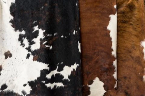 Cow skin Pattern texture Stock Photos