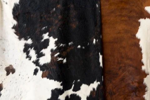 Cow skin Pattern texture Stock Photos