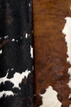 Cow skin Pattern texture vertical black white red Stock Photos