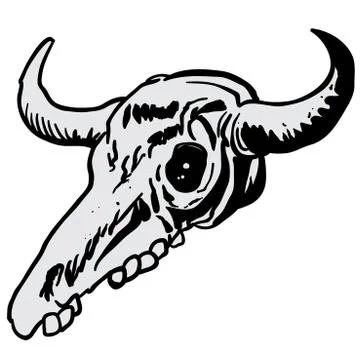 Cow skull Stock Illustration