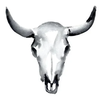 Cow skull Stock Illustration