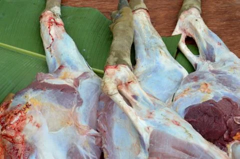 Cow slaughter Stock Photos