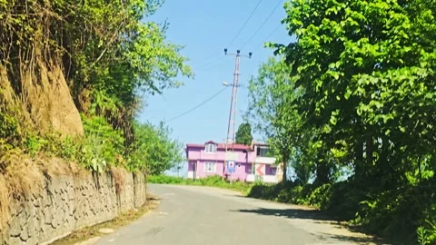 A cow that is standing. Stock-Footage 282846356