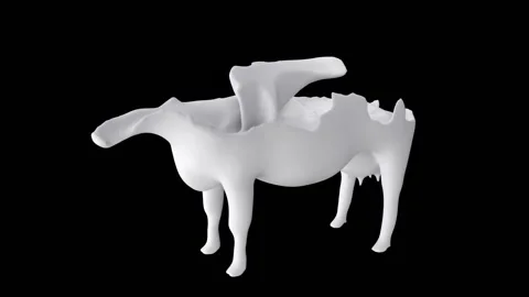 Cow takes shape with flow of milk Stock Footage 143384423
