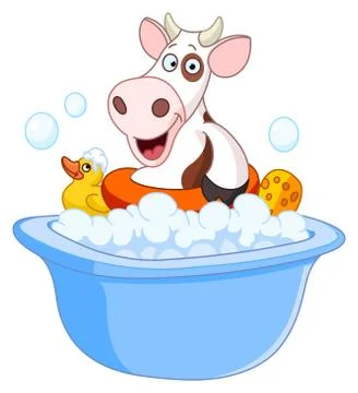 Cow taking a bath Stock Illustration