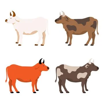 Cow vector illustration design set. Collection of Cow Illustration. Stock Illustration