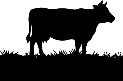 Cow vector illustration isolated on background Stock Illustration
