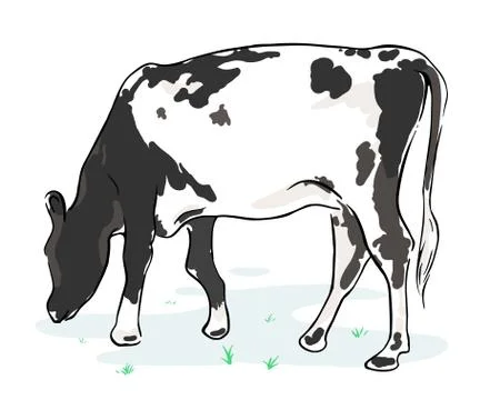 Cow on a white background Stock Illustration