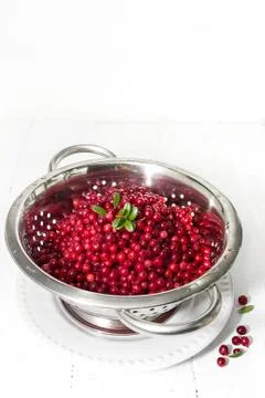 Cowberry Stock Photos