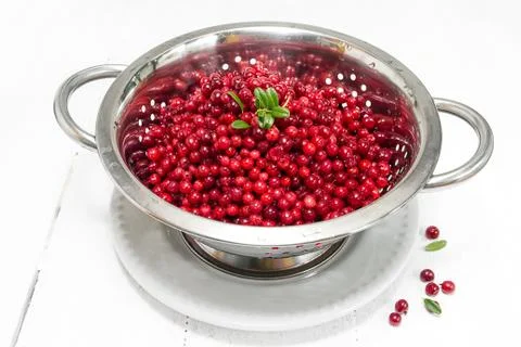 Cowberry Stock Photos