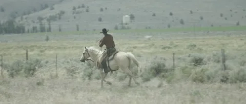 Cowboy 1 Stock Footage 238406114