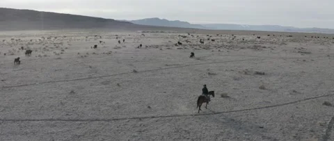 Cowboy Aerila Stock Footage 238405698