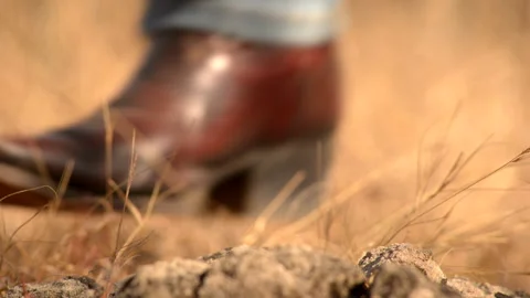 Cowboy Boot Stock Footage 137549989