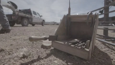 Cowboy farrier grabs tools FLAT Stock Footage 282741597