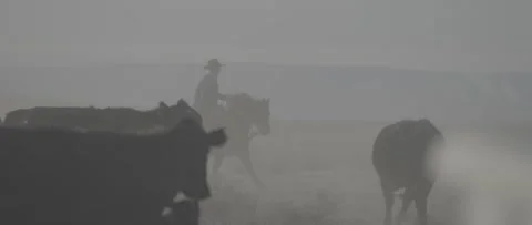 Cowboy Gallop Stock Footage 238405739
