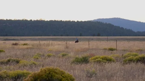 A cowboy galloping across the open prairie on his horse Stock Footage 287143048