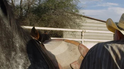Cowboy getting saddle ready Stock Footage 98663664