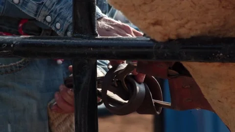 Cowboy hands doing work on the farm Stock Footage 143820486