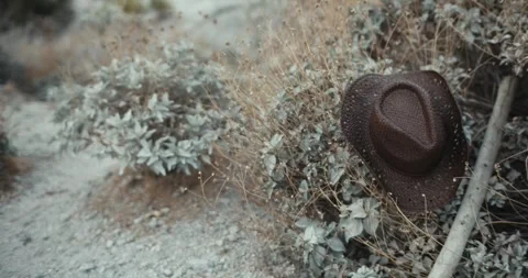 Cowboy hat in bush Stock Footage 247305117