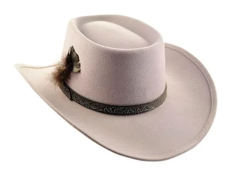 Cowboy hat Fotos Stock