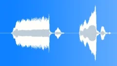 Cowboy horse riding shout - dry Sound Effect