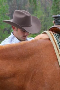Cowboy Stock Photos