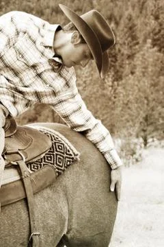 Cowboy Stock Photos
