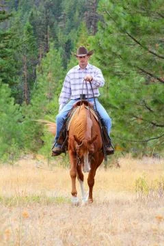 Cowboy Stock Photos