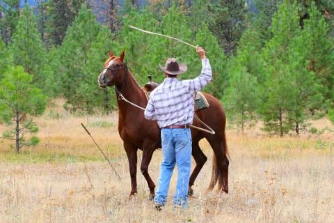Cowboy Stock Photos
