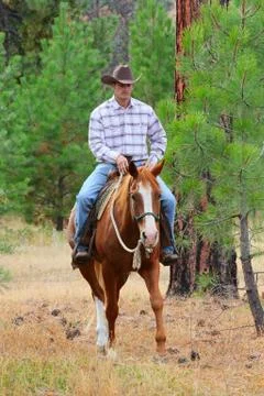 Cowboy Foto stock