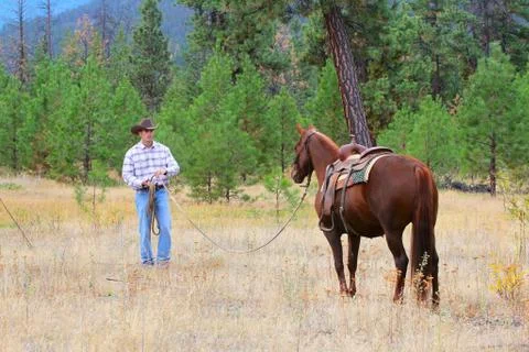 Cowboy Stock Photos
