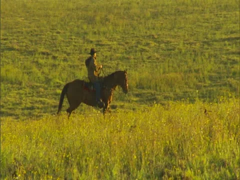 Cowboy on Ranchland Stock-Footage 22244435