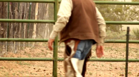 Cowboy Regards Calf Awaiting Sort in Pen Corral Vídeo Stock 4681793
