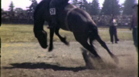 Cowboy Rides CRAZY BUCKING BRONCO Rodeo 1950s Vintage Film Home Movie Stock Footage