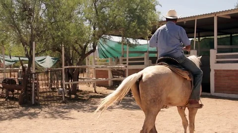 Cowboy riding out of stable 스톡 동영상 81733433