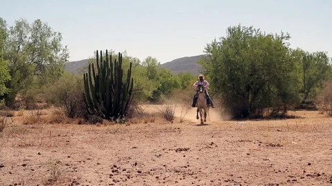 Cowboy riding on ranch Stock-Footage 81744356