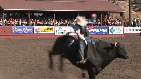 Cowboy rodeo bull ride 1 Stock Footage