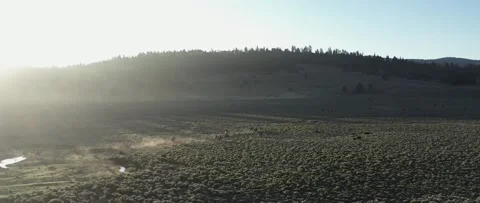 Cowboy Roundup Stock Footage 238405963