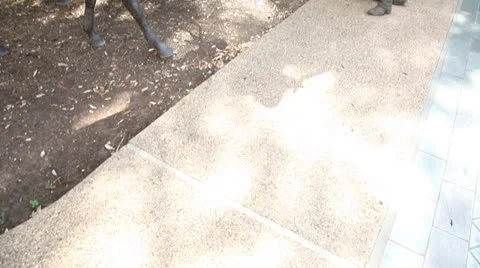 Cowboy Statue Scene 스톡 동영상 25721285