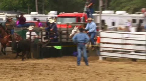 Cowboy Steer Wrestling Slow Motion Stock Footage