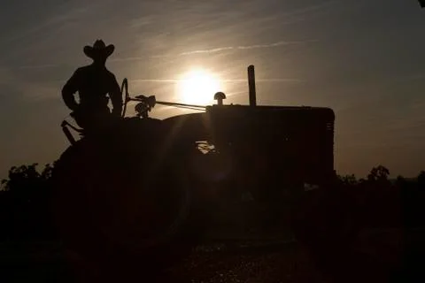 Cowboy Tractor Stock Photos