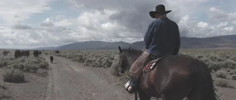 Cowboy Walk Stock Footage 238405990