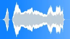 Cowboy yuppie shoutSound Effect