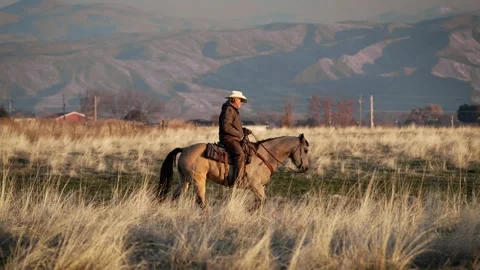 Cowboy9401 Stock Footage 257275904