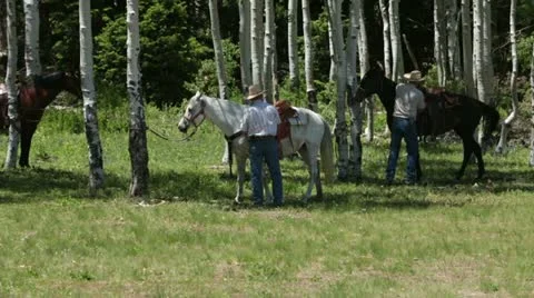 Cowboys getting ready to ride in mountain forest Stock Footage 11195267